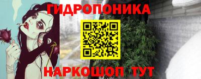 дживик Кунгур