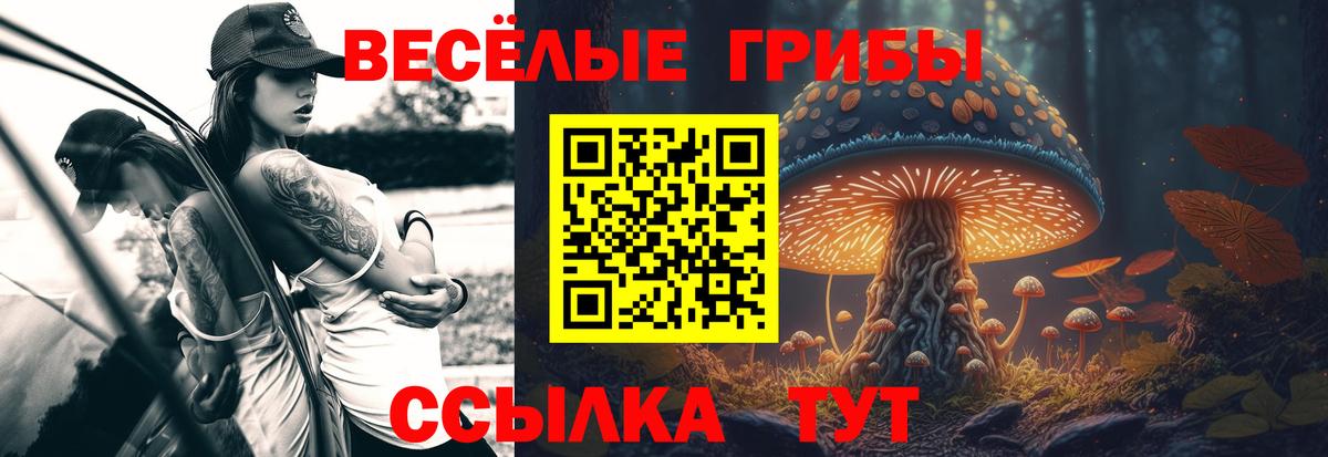 Галлюциногенные грибы Psilocybe Бирск